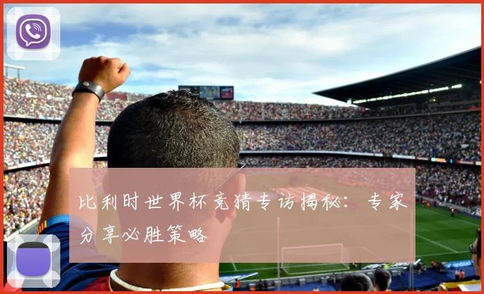比利时世界杯竞猜专访揭秘：专家分享必胜策略