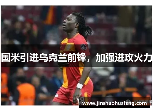 国米引进乌克兰前锋，加强进攻火力